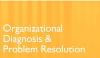 Organizational Diagnosis and Problem Resolution